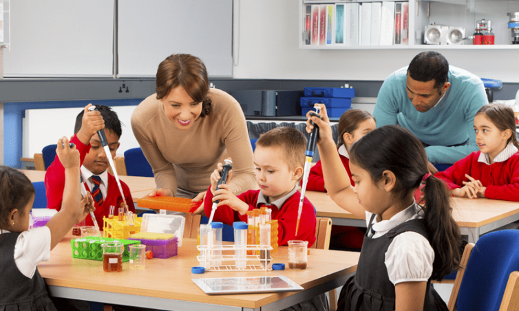 speech and languages therapy in schools